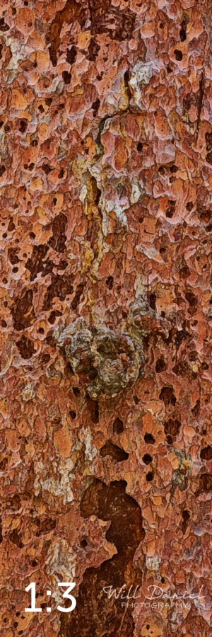 Rocky Mountain National Park 711141-G2