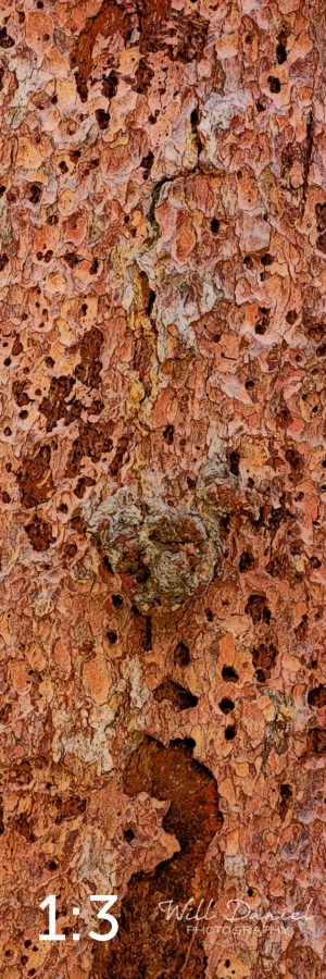 Rocky Mountain National Park 711141-IA