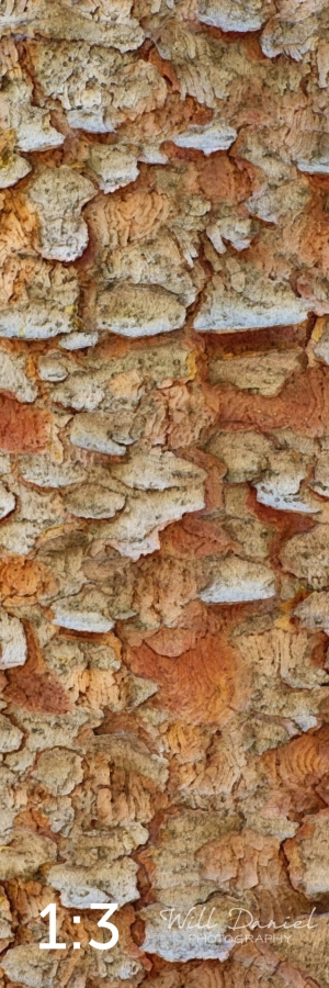 Rocky Mountain National Park 711144-WY