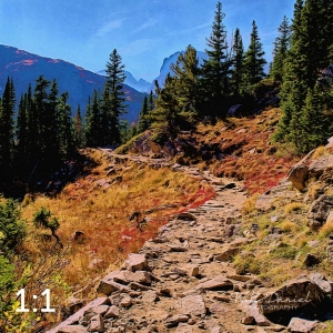 Rocky Mountain National Park 711166-I4