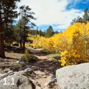 Rocky Mountain National Park 510633 O4