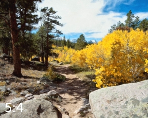 Rocky Mountain National Park 510633 O4