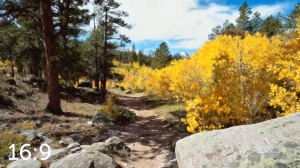 Rocky Mountain National Park 510633 O4