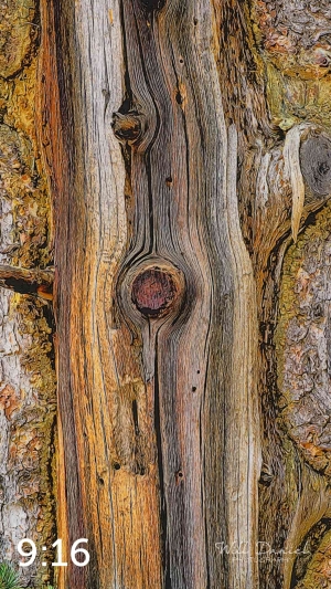 Rocky Mountain National Park 720949-I1