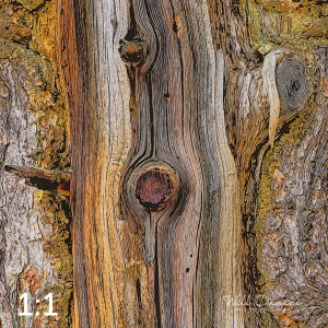 Rocky Mountain National Park 720949-I1