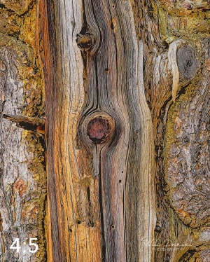 Rocky Mountain National Park 720949-I1