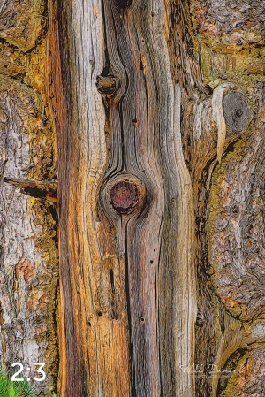 Rocky Mountain National Park 720949-I1