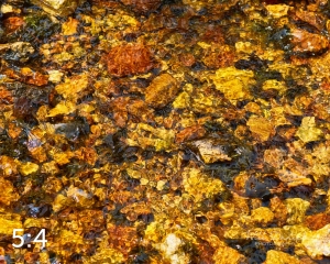 Rocky Mountain National Park 720963-S3