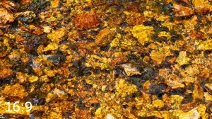 Rocky Mountain National Park 720963-S3