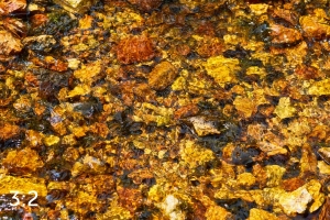 Rocky Mountain National Park 720963-S3