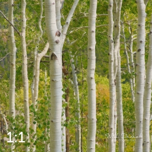 Rocky Mountain National Park 721124-S3A