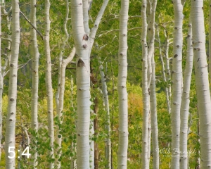 Rocky Mountain National Park 721124-S3A