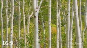Rocky Mountain National Park 721124-S3A