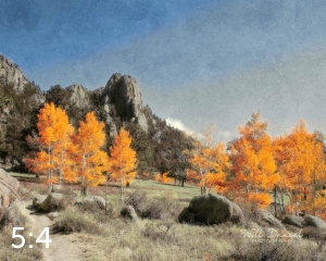 Rocky Mountain National Park 510284 N1foster