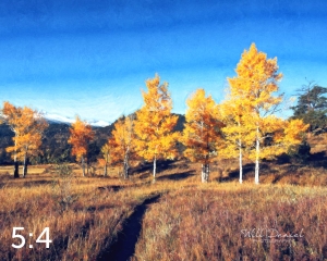 Rocky Mountain National Park 510176 O4fulton