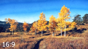 Rocky Mountain National Park 510176 O4fulton