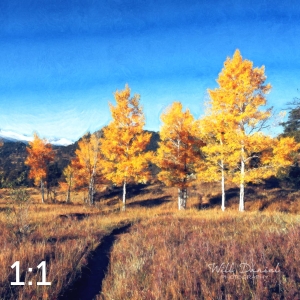 Rocky Mountain National Park 510176 O4fulton