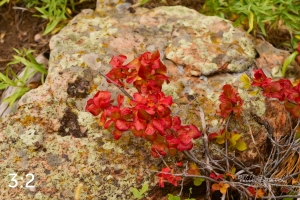 Rocky Mountain National Park 503091-S1