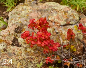 Rocky Mountain National Park 503091-S1