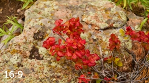 Rocky Mountain National Park 503091-S1