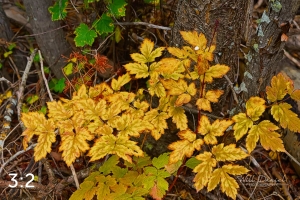 Rocky Mountain National Park 503097-G2