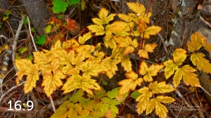 Rocky Mountain National Park 503097-S1