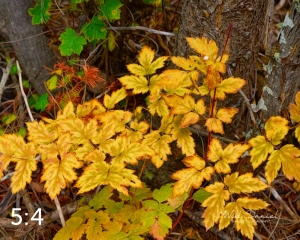 Rocky Mountain National Park 503097-S1