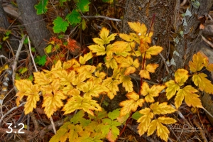 Rocky Mountain National Park 503097-S1
