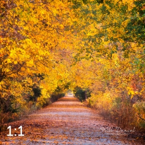 Dark Island Trail 56801-S3