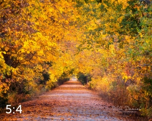 Dark Island Trail 56801-S3