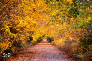 Dark Island Trail 56801-S3