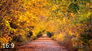 Dark Island Trail 56801-S3