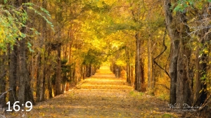 Dark Island Trail 56836-O4