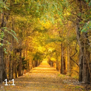 Dark Island Trail 56836-O4