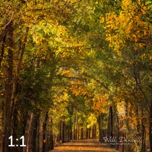 Dark Island Trail 56865-W2