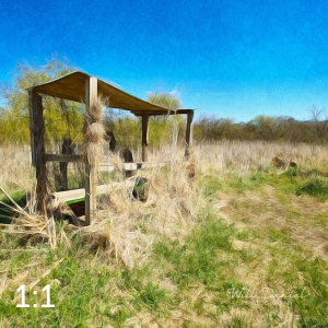 Dead Timber State Recreation Area 54331-A1