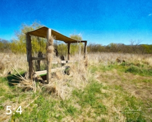 Dead Timber State Recreation Area 54331-A1