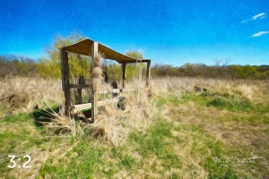 Dead Timber State Recreation Area 54331-A1