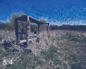 Dead Timber State Recreation Area 54331-E1