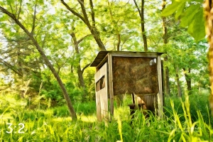 Dead Timber State Recreation Area 54532-A1