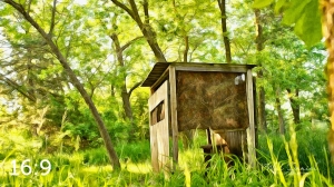 Dead Timber State Recreation Area 54532-A1