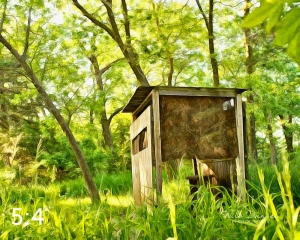 Dead Timber State Recreation Area 54532-A1