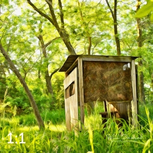 Dead Timber State Recreation Area 54532-A1