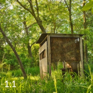 Dead Timber State Recreation Area 54532-S3A