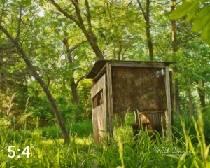 Dead Timber State Recreation Area 54532-S3A