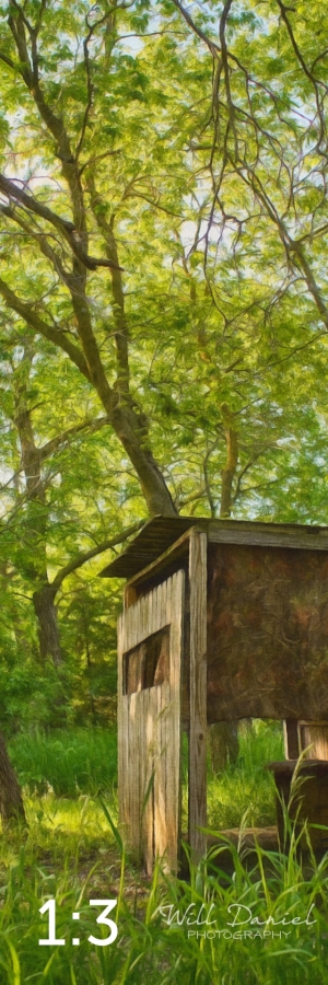 Dead Timber State Recreation Area 54538-S3A