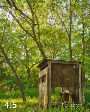 Dead Timber State Recreation Area 54538-S3A