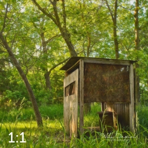 Dead Timber State Recreation Area 54538-S3A