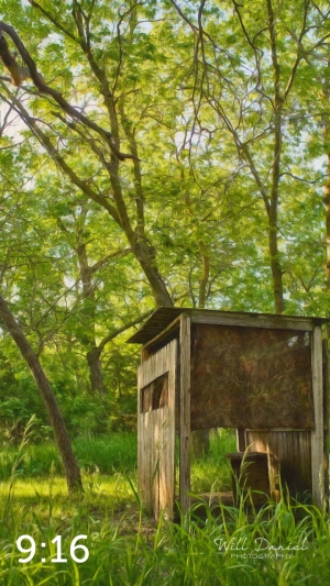 Dead Timber State Recreation Area 54538-S3A