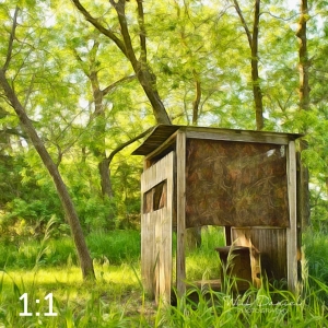 Dead Timber State Recreation Area 54538-A1